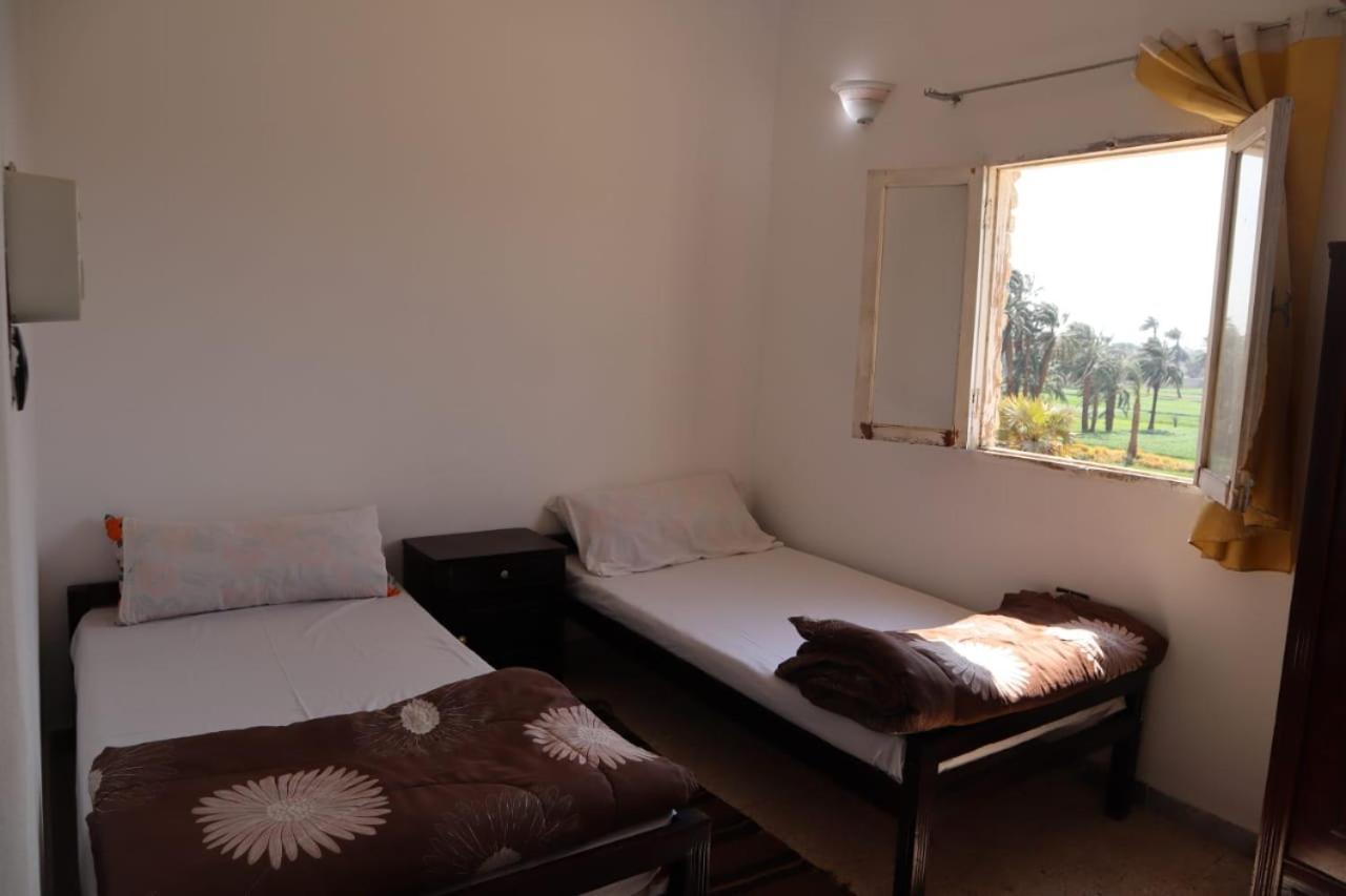 לוקסור Rose Guest House מראה חיצוני תמונה