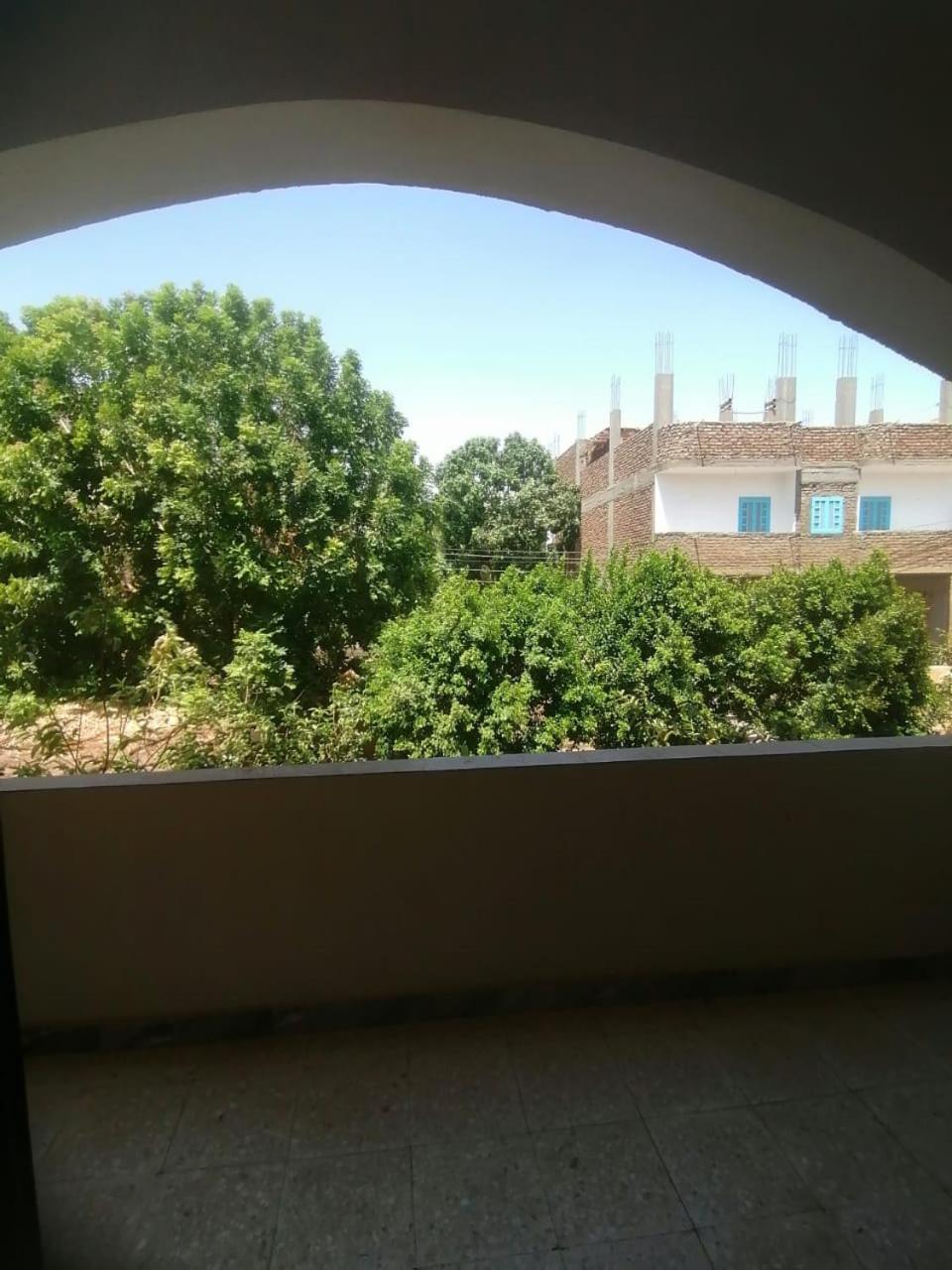 לוקסור Rose Guest House מראה חיצוני תמונה