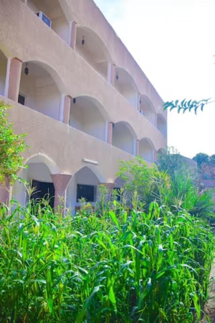לוקסור Rose Guest House מראה חיצוני תמונה