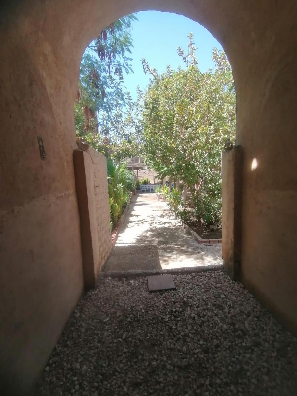 לוקסור Rose Guest House מראה חיצוני תמונה