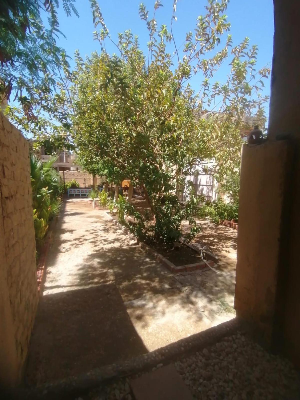 לוקסור Rose Guest House מראה חיצוני תמונה