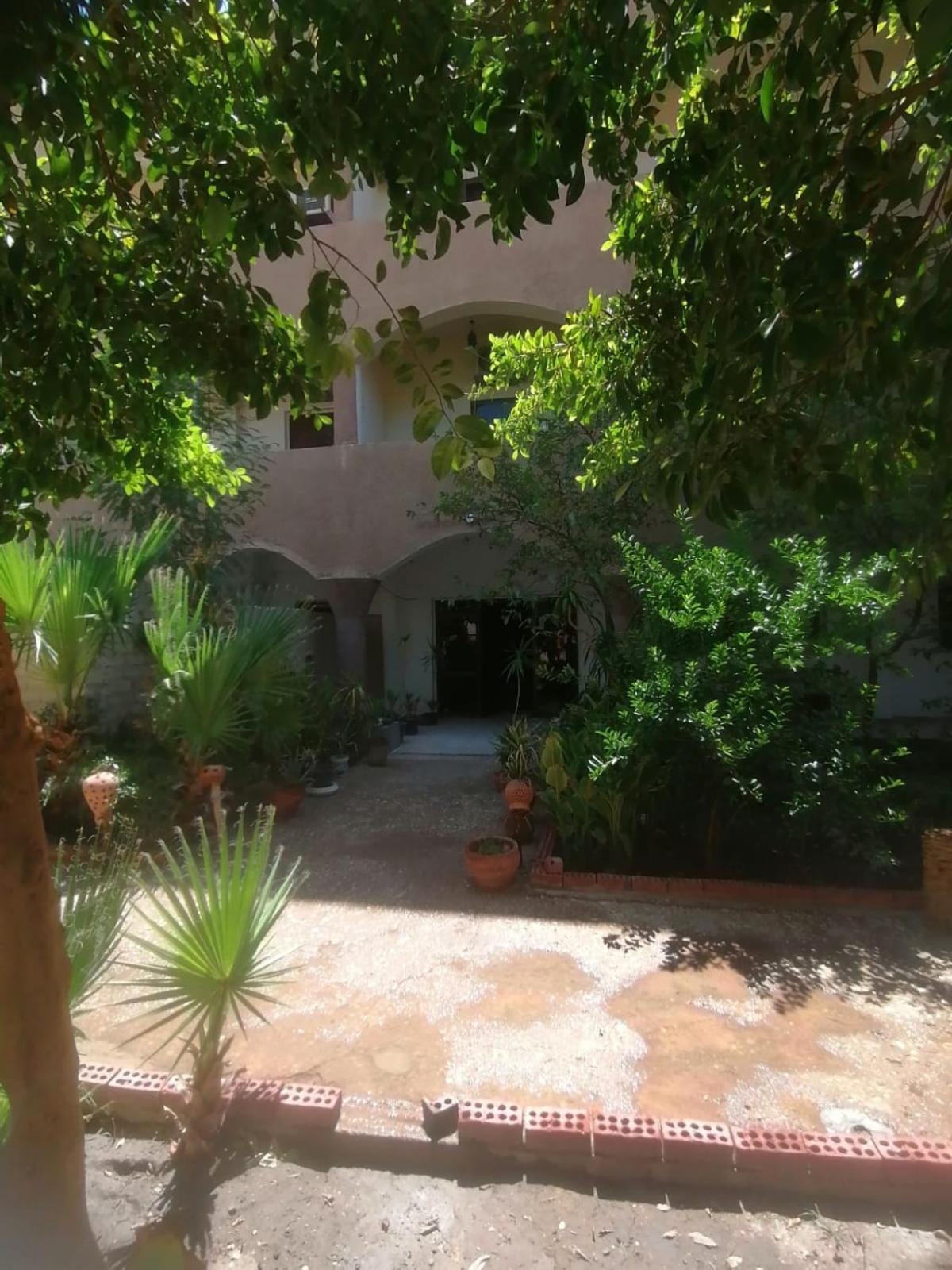 לוקסור Rose Guest House מראה חיצוני תמונה