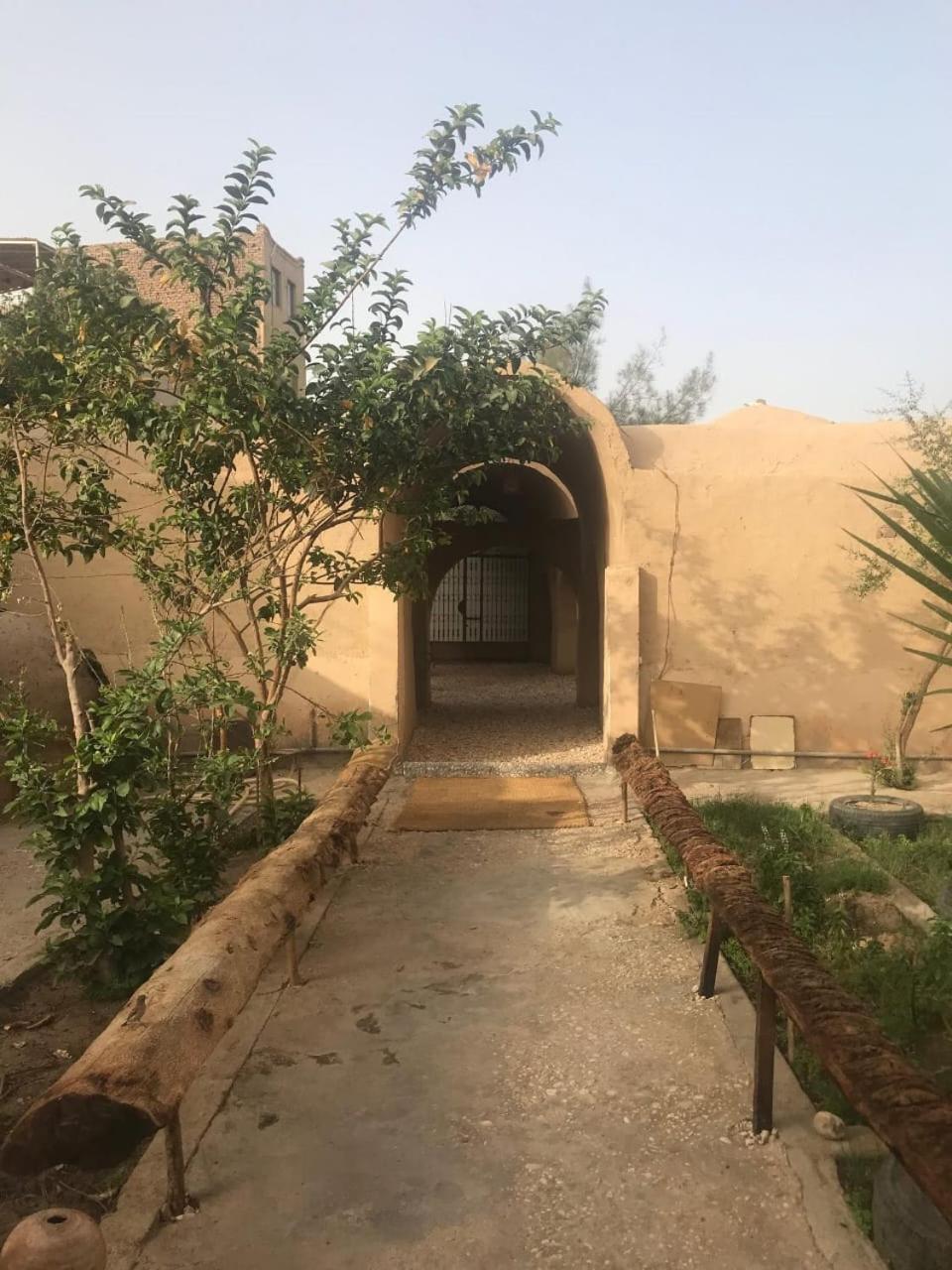 לוקסור Rose Guest House מראה חיצוני תמונה